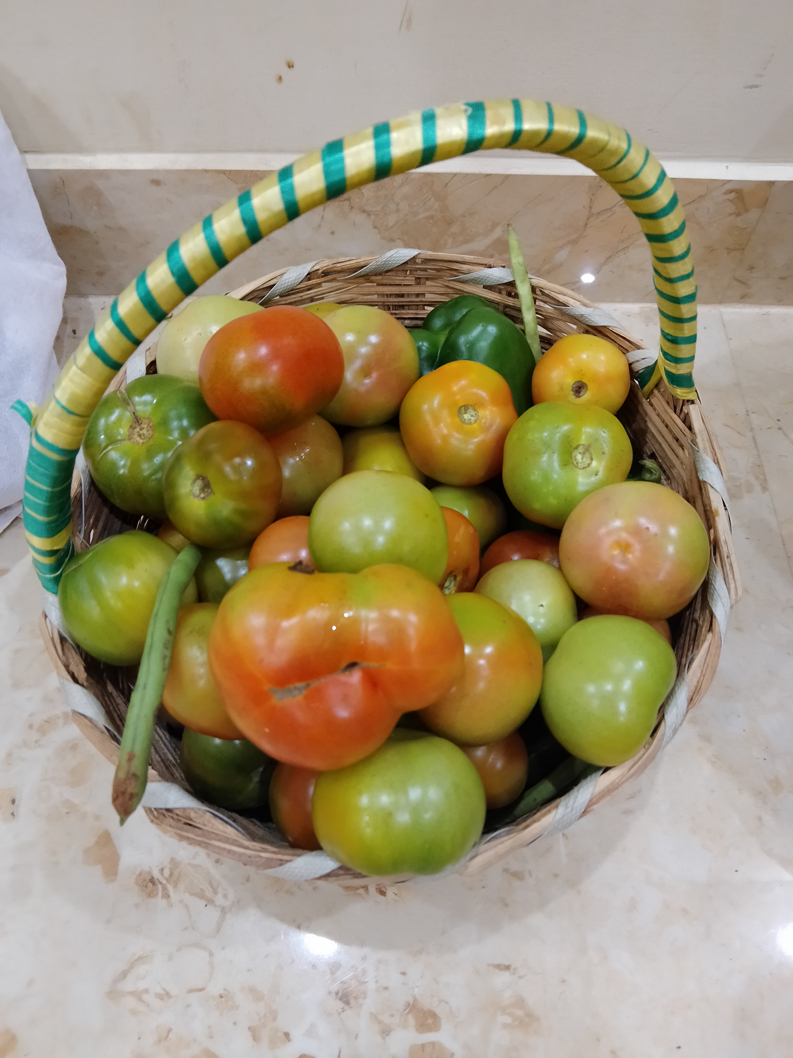 Tomoto seeds